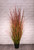 Potted Bronze Stipa Grass (122cm)