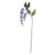 Garden Wisteria Lilac 