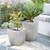 Stewart 32cm Limestone Cotswold Planter - Grey Stewart 32cm Limestone Cotswold Planter - Grey