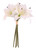 Cream Lily Bouquet x 6 Heads