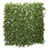 Green Plant Wall (50 x 50cm)