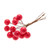 Red Berry  Bunch 10cm