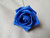 Bunch of 6 Royal Blue Foam Tea Rose Bunch of 6 Royal Blue Foam Tea Rose