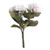 White Hydrangea Bush (22 x 17 x 9cm)