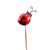 Ladybird on spring wooden pick 10pck Ladybird on spring wooden pick 10pck