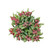 Frosted Red Berry Bunch with Green Leaves Frosted Red Berry Bunch with Green Leaves