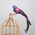 Purple Paradise Bird with clip