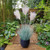 Potted Fluff Pampas 3 heads (85cm) Potted Fluff Pampas 3 heads (85cm)