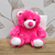 Cerise Baby Bundle Bear (Plush Soft Toy)