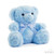 Blue Teddy Bear with Embroidered Paws (15cm) 