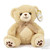 Brown Teddy Bear with Embroidered Paws (20cm)