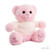 Pink Teddy Bear with Sweater & Little Princess Embroidery