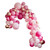 Luxe Pink Balloon Arch 