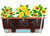 Stewart 70cm Balconniere Trough - Terracotta Stewart 70cm Balconniere Trough - Terracotta