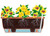 Stewart 40cm Square Balconniere Planter - Black