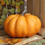 Large Orange Pumpkin (25cm x 17cm)