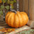 Medium Orange Pumpkin (21.5cm x 16cm)