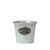 Silver Metal Flower Pot (16cm)