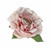 Beauty Rose Plush with Clip (Dia18cm)