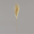 Luxury Pampas Buttermilk