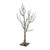 Natural Manzanita Wishing Tree with Base (H76cm)