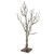 Manzanita Wishing Tree- Natural Brown  Manzanita Wishing Tree- Natural Brown