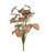Caladium Houseplant (46cm) Caladium Houseplant (46cm)