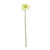 Green Gerbera Stem (72cm)