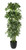 Schefflera Potted House Plant (120cm)
