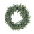Botanica Eucalyptus Wreath (48cm) Botanica Eucalyptus Wreath (48cm)