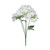 Essential White Hydrangea Bush