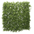 Green Plant Wall Bundle (2 x 3M)