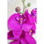 Cerise Pink Phalaenopsis Spray 34.5 inch