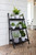 Three Tier Narrow Step Ladder Plant Stand (59cm) 