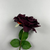 Balmoral Wild Rose Burgundy (65cm)