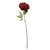 Glamis Single Peony Dark Red (62cm)