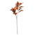 Glamis Croton Spray Orange (72cm)