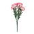 Essential Pink Carnation Bunch 