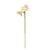 Monet mini Daffodil White/Yellow 34cm