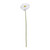 Single White Gerbera (72cm)