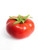 Artificial Tomato