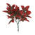 Red Fiery Bush (30cm) 