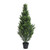 Artificial Cypress Topiary (122cm) Artificial Cypress Topiary (122cm)