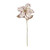 Metallic Rose Gold Poinsettia Stem (71cm)