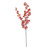 Essential Autumn Eucalyptus Stem - Red