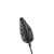 Essential Purple Thistle 