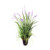 Potted Lavender Grass (106cm)
