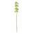 Botanica Green Cymbidium Orchid (76cm) Botanica Green Cymbidium Orchid (76cm)