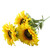 Essential Sunflower Spray (x3 Heads)
