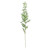Green Botanica Ruscus Spray (121cm) Green Botanica Ruscus Spray (121cm)